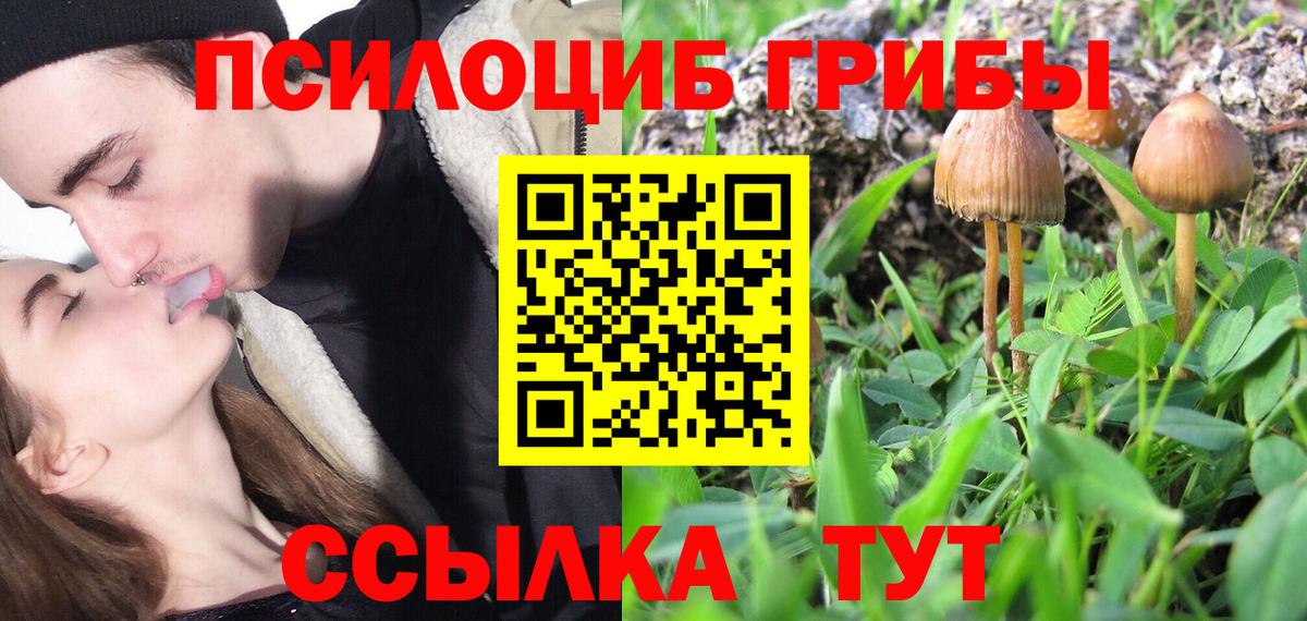 Псилоцибиновые грибы MAGIC MUSHROOMS  Вход с VPN  Всеволожск 