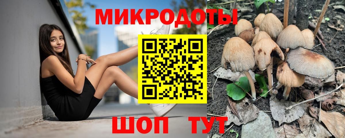 Псилоцибиновые грибы Psilocybine cubensis Всеволожск